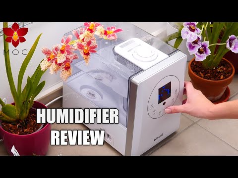 Levoit LV600HH Humidifier Full Review - The good and the (pretty) bad!