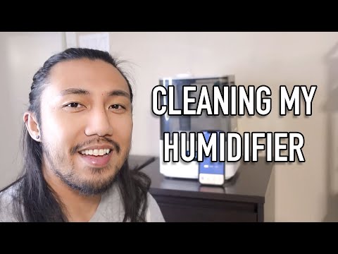 Cleaning My Levoit Classic 300S Humidifier